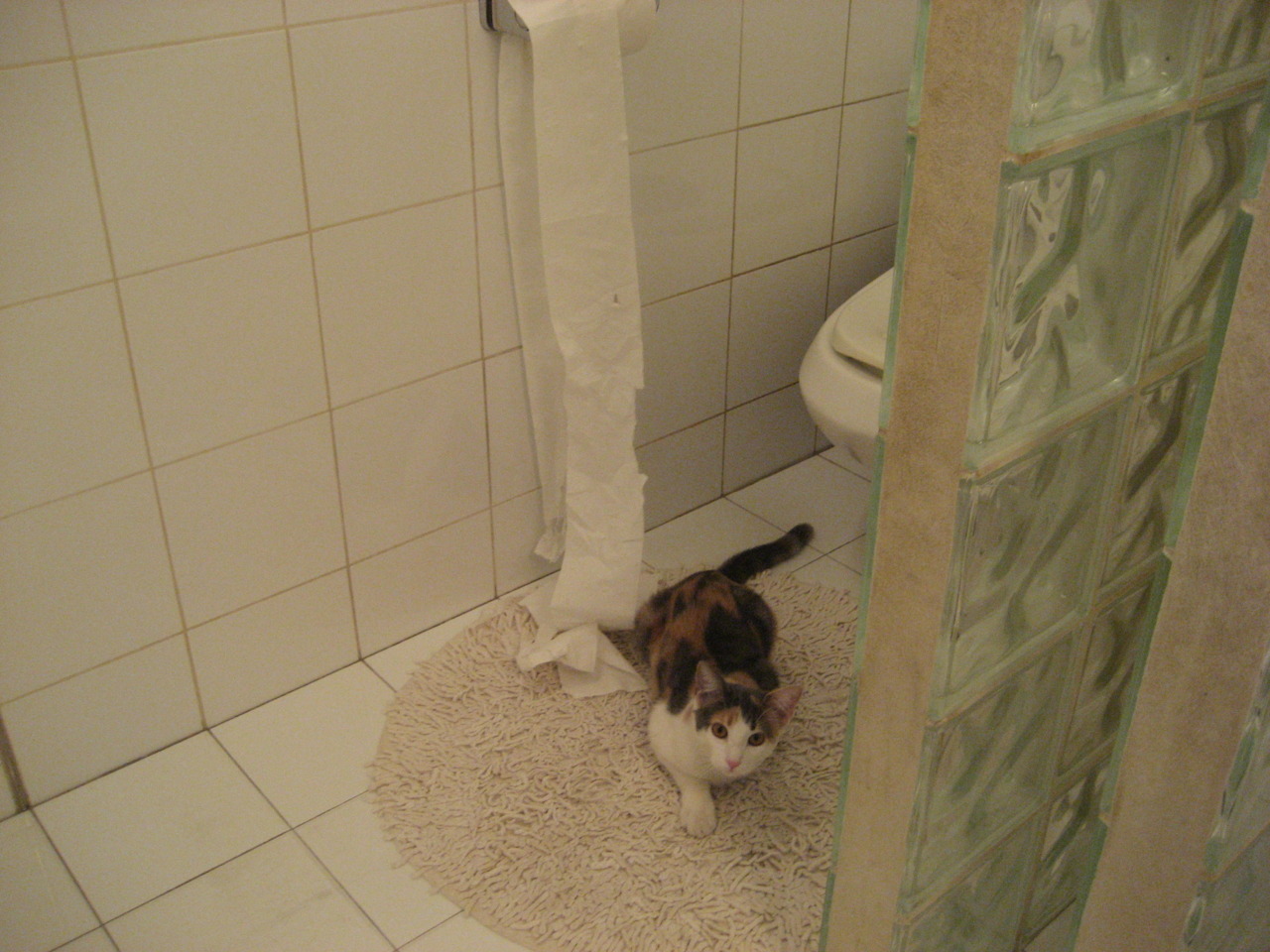 “中超季前热身赛火热开启,球队状态调研进行中”,中超今天晚上热身赛