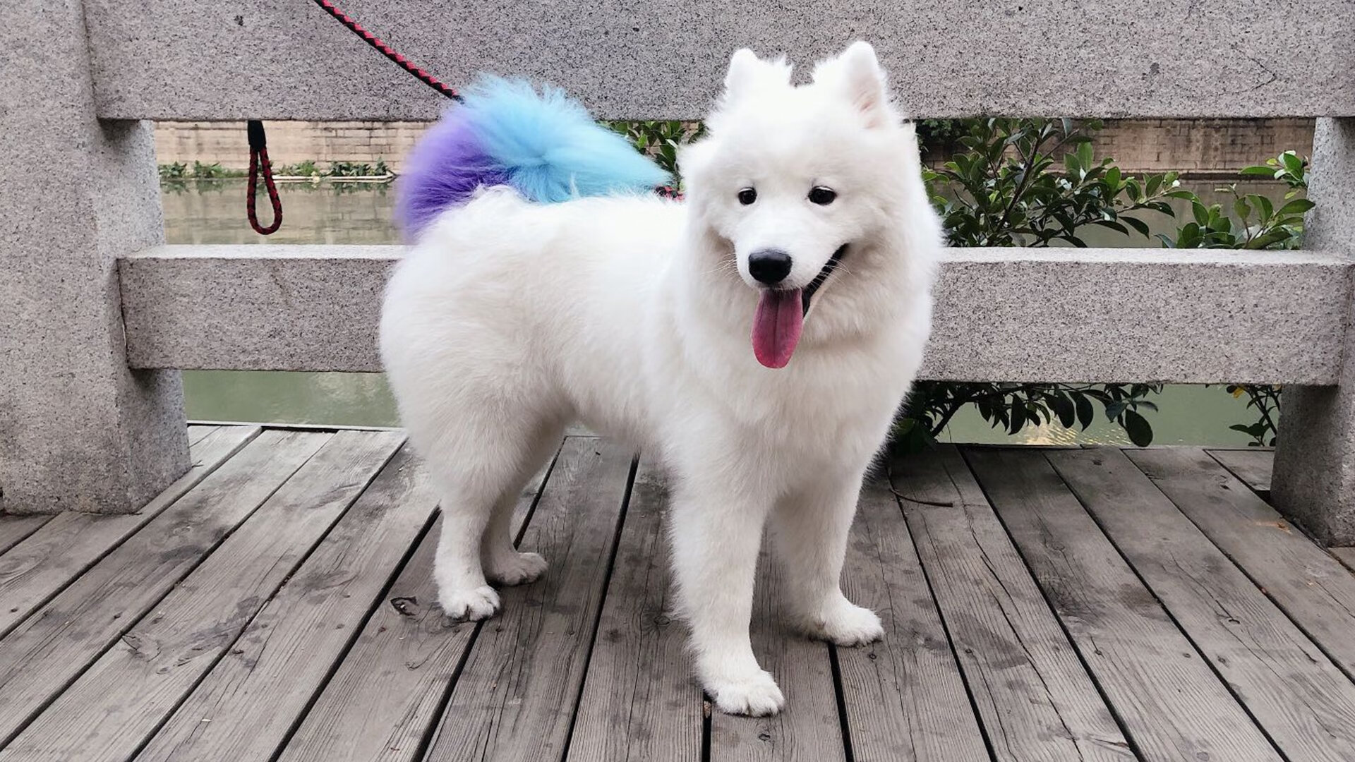 “飘逸漂移：弯道飞舞的速度艺术”，漂移入弯教学