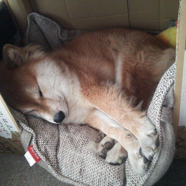 传奇回归！C罗助球队晋级欧冠四强，c罗欧洲杯助攻