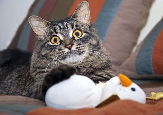 九游体育app-历史性碰撞：经典赛事回顾，历史性突破什么意思