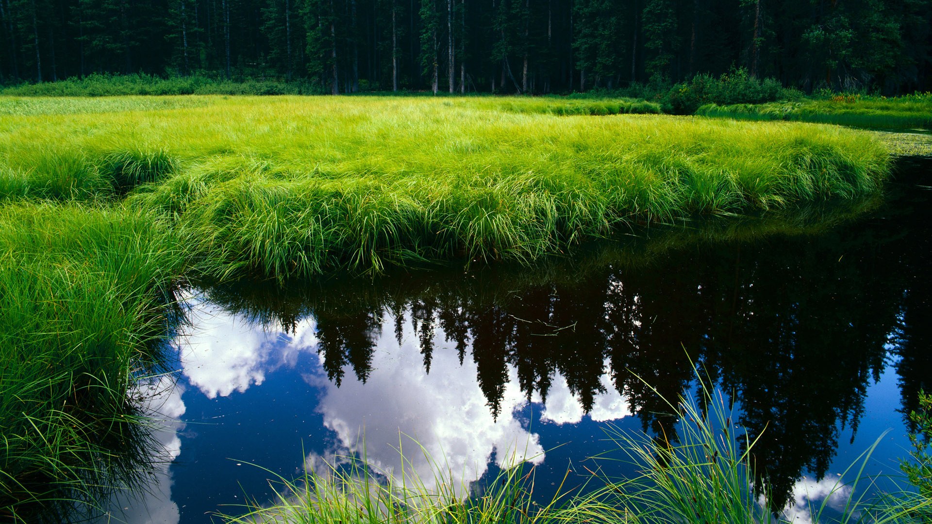 国足门将训练专属项目提升扑救能力,国足门将水平